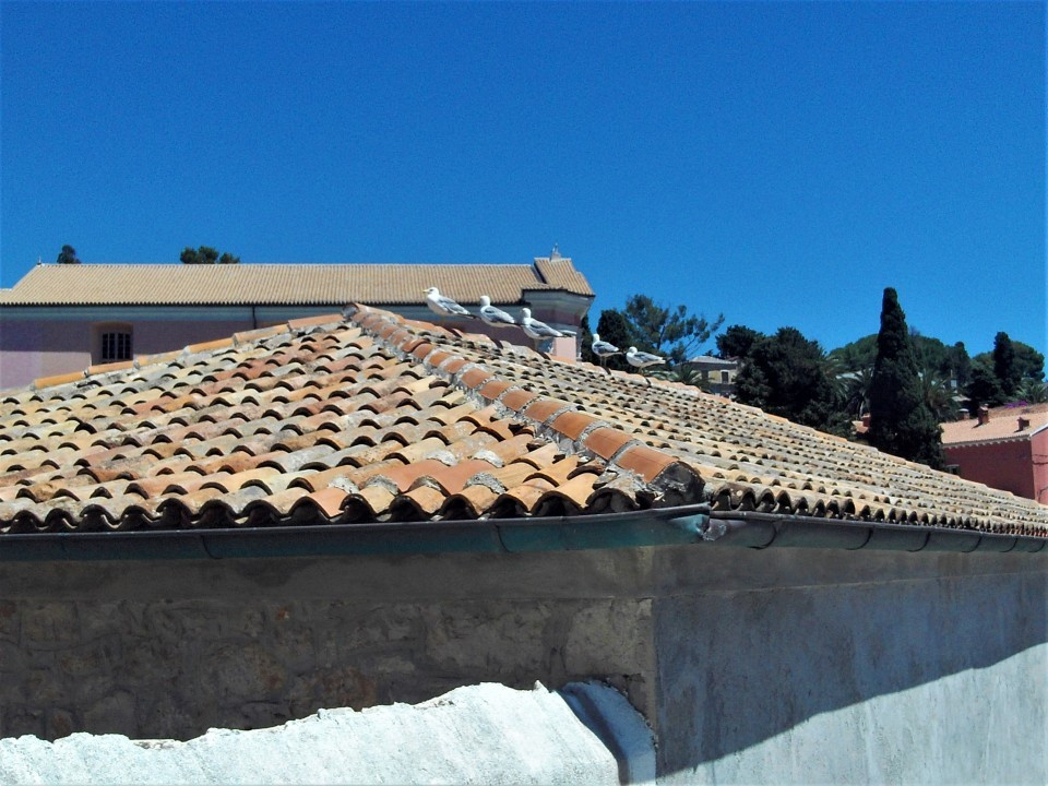 52 Cres 2019 Veli Losinj