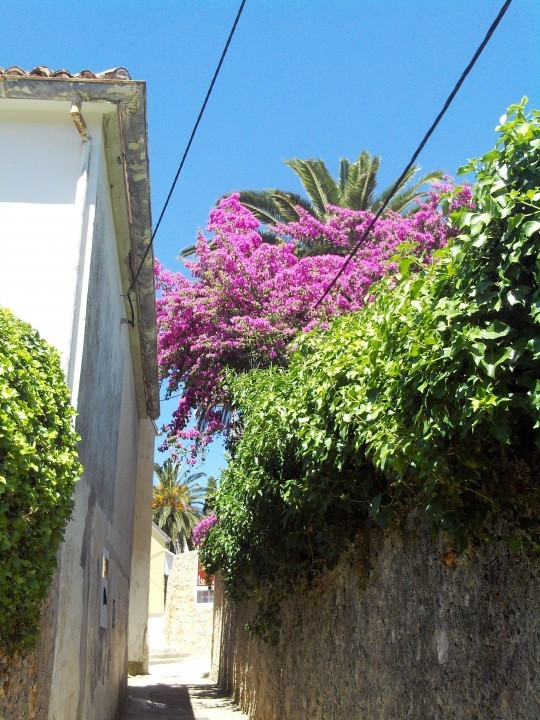 58 Cres 2019 Veli Losinj