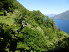Von Cannero nach Cannobio (38)