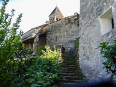 Von Cannero nach Cannobio (40)