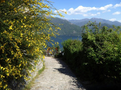 Von Cannero nach Cannobio (46)