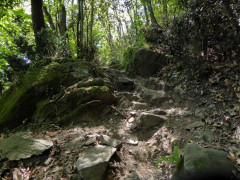 Von Cannero nach Cannobio (44)