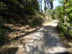 Von Cannero nach Cannobio (50)