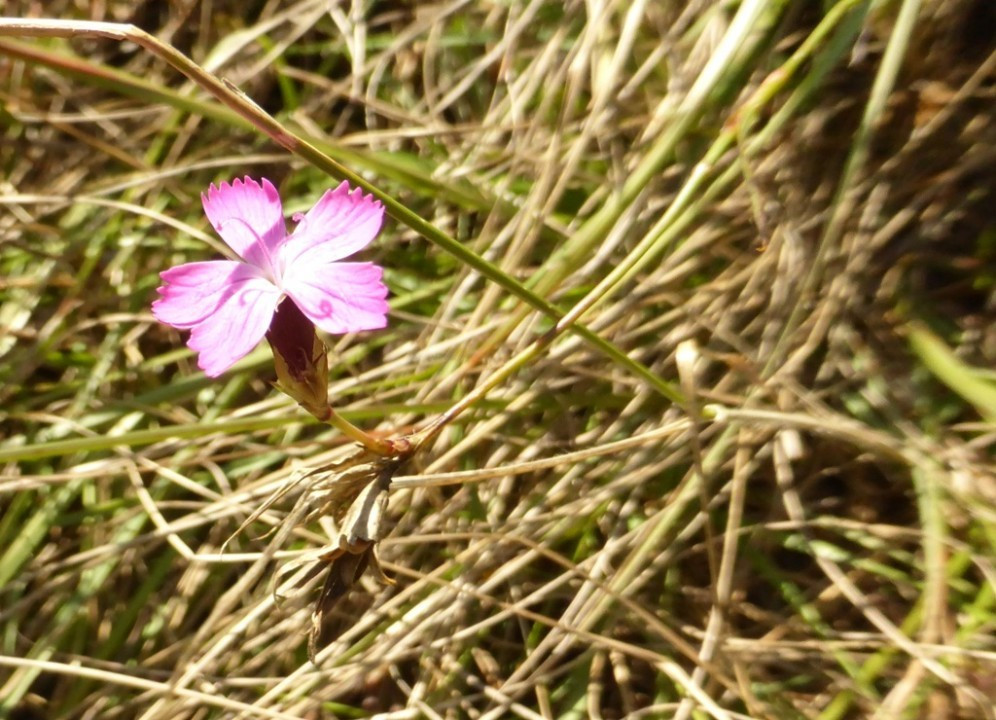 P1180519