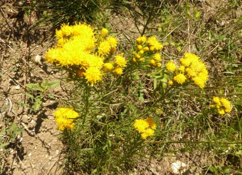 P1180479