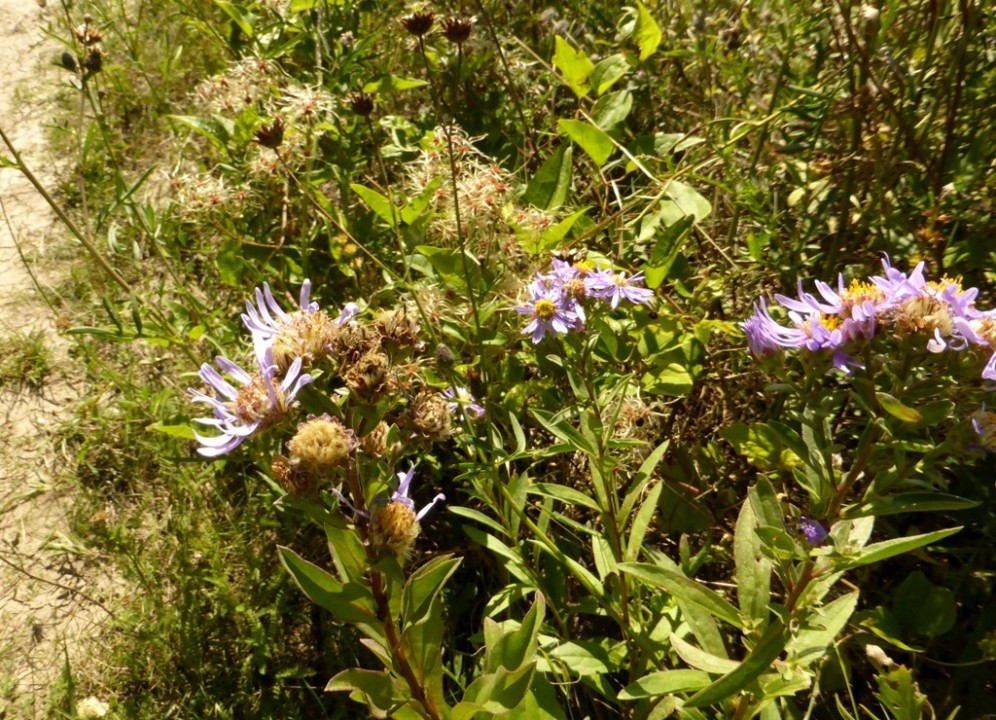 P1180486
