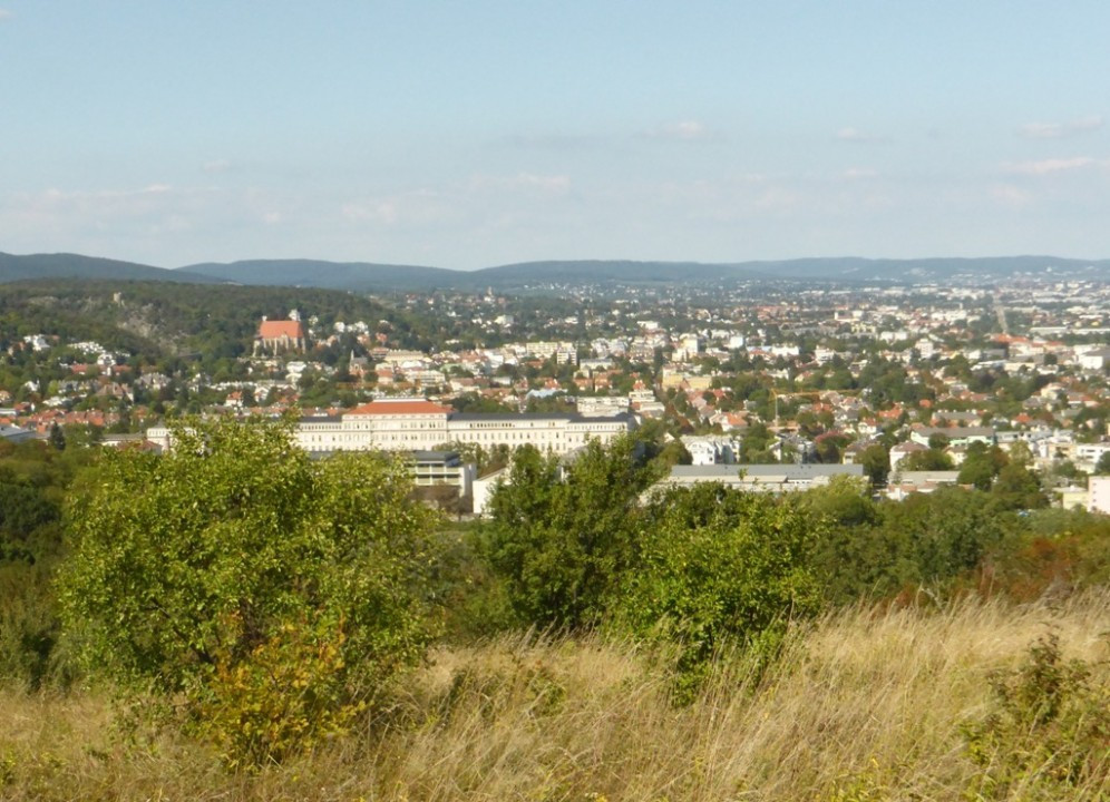 P1180522