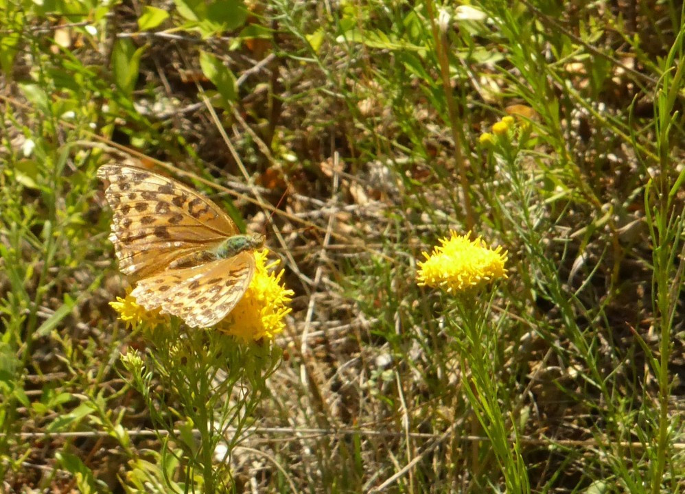 P1180457