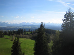 Auerberg Suzuki Tour