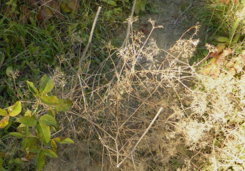 P1180494