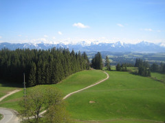 Auerberg Suzuki Tour