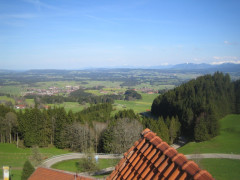 Auerberg Suzuki Tour