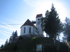 Auerberg Suzuki Tour