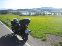 Auerberg Suzuki Tour