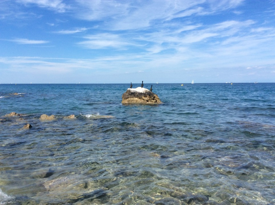 Moon Bay