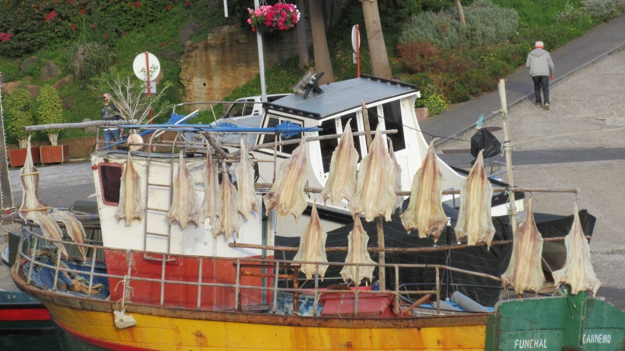Trockenfisch