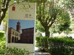 Pienza (1)