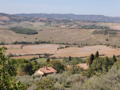 Val d'Orcia (5)