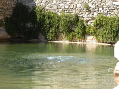 Bagno Vignoni  (9)