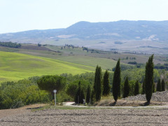 Val d'Orcia (5)