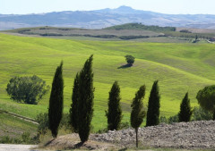 Val d'Orcia (9)