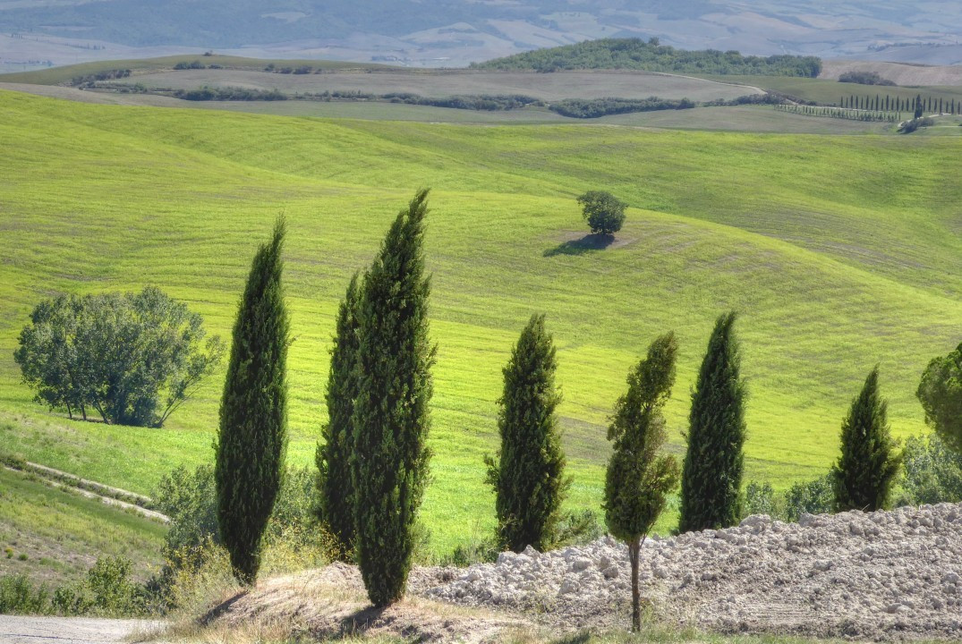 Val d'Orcia S