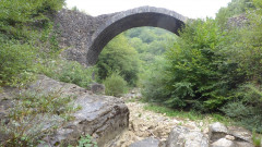 Ponte