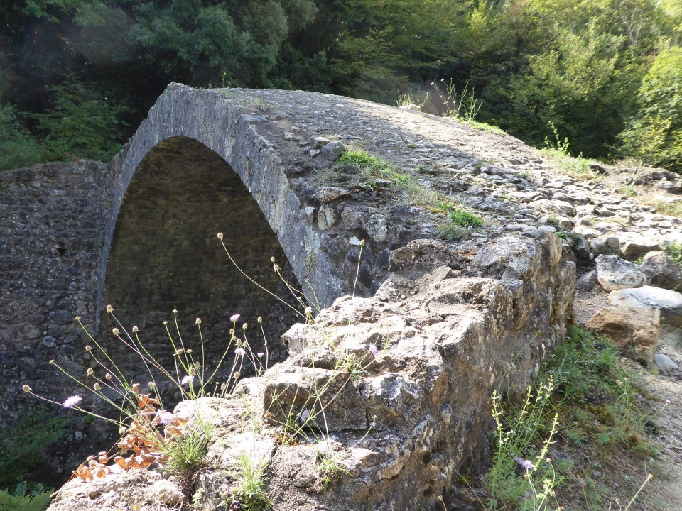 Ponte