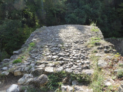 Ponte