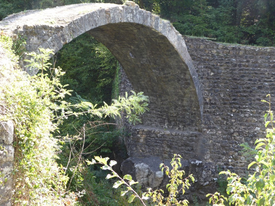Ponte