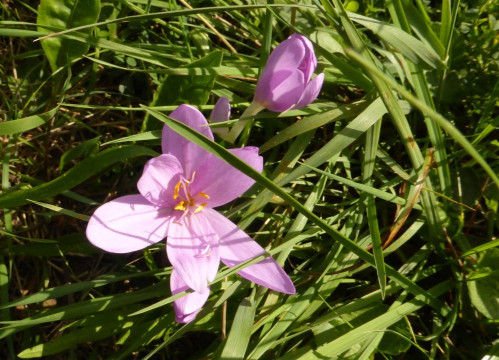 P1180565