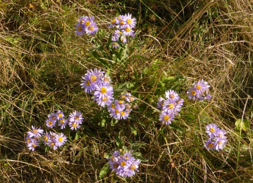 P1180596