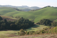 Colline Sienese Crete (2)