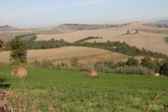 Colline Sienese Crete (3)