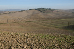 Colline Sienese Crete (6)