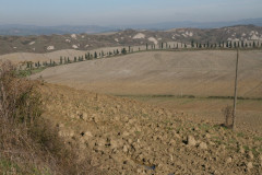 Colline Sienese Crete (7)