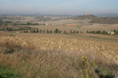 Colline Sienese Crete (8)