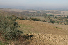 Colline Sienese Crete (9)