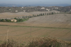 Colline Sienese Crete (11)