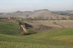 Colline Sienese Crete (12)