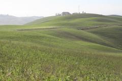 Colline Sienese Crete (13)