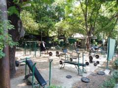 Lumphini Park