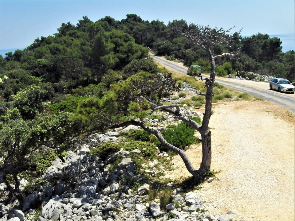 61 Cres 2019 Südspitze & Ilovik
