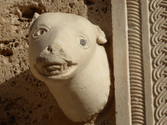 Massa Marittima  (8)