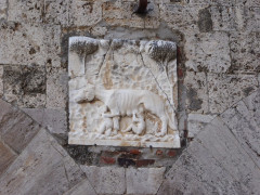 Massa Marittima  (13)