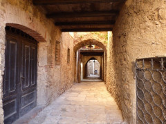 Massa Marittima  (18)