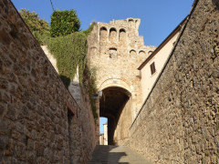 Massa Marittima  (21)