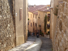Massa Marittima  (22)