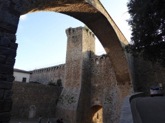 Massa Marittima  (23)