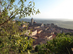 Massa Marittima  (24)